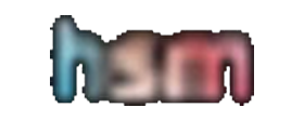 HSM